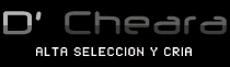 Teckel de Cheara